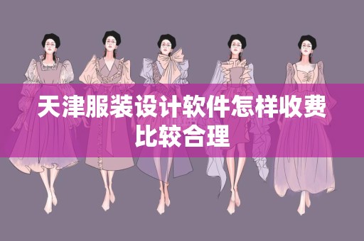 天津服装设计软件怎样收费比较合理