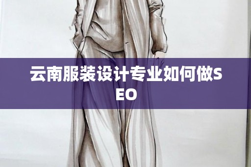 云南服装设计专业如何做SEO