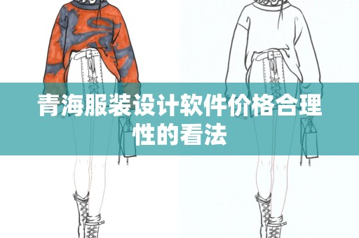 青海服装设计软件价格合理性的看法