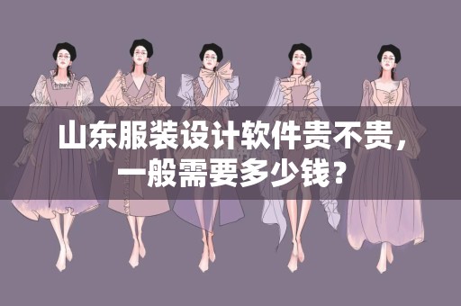 山东服装设计软件贵不贵，一般需要多少钱？