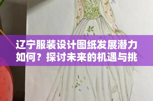 辽宁服装设计图纸发展潜力如何？探讨未来的机遇与挑战