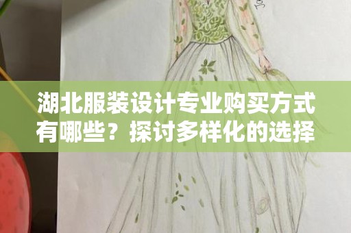 湖北服装设计专业购买方式有哪些？探讨多样化的选择