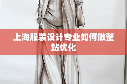 上海服装设计专业如何做整站优化