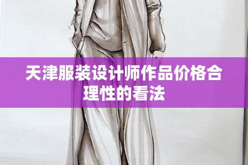 天津服装设计师作品价格合理性的看法