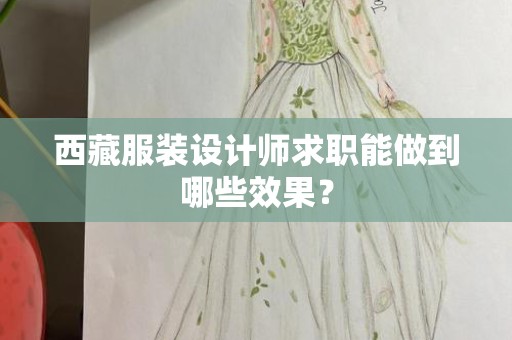 西藏服装设计师求职能做到哪些效果？
