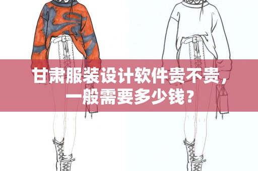 甘肃服装设计软件贵不贵，一般需要多少钱？