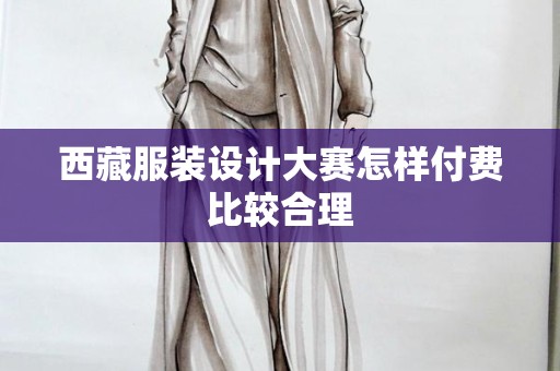 西藏服装设计大赛怎样付费比较合理
