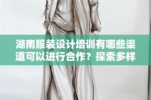 湖南服装设计培训有哪些渠道可以进行合作？探索多样化的合作模式