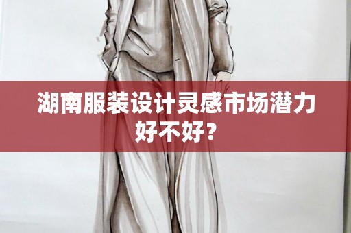 湖南服装设计灵感市场潜力好不好？