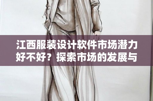 江西服装设计软件市场潜力好不好？探索市场的发展与机遇