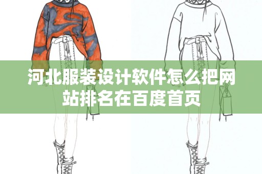 河北服装设计软件怎么把网站排名在百度首页