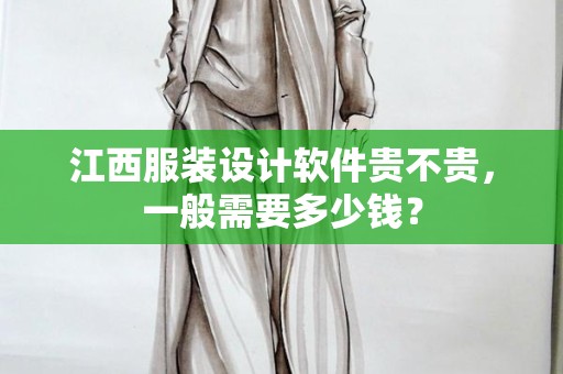 江西服装设计软件贵不贵，一般需要多少钱？
