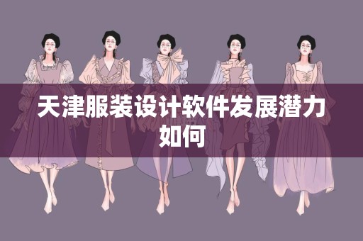 天津服装设计软件发展潜力如何