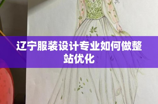 辽宁服装设计专业如何做整站优化