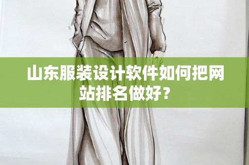 山东服装设计软件如何把网站排名做好？