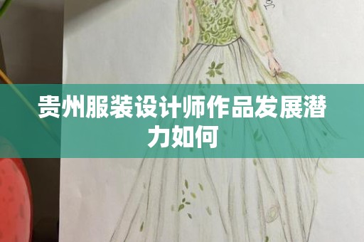 贵州服装设计师作品发展潜力如何