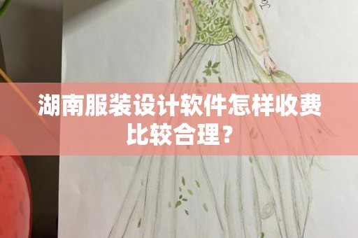 湖南服装设计软件怎样收费比较合理？